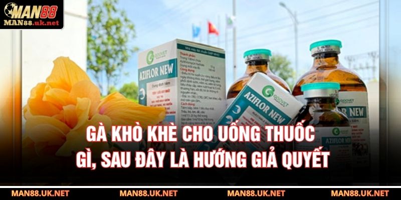 Gà khò khè cho uống thuốc gì, sau đây là hướng giả quyết