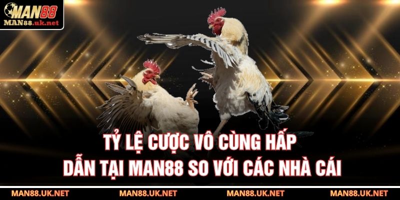 Tỷ lệ cược vô cùng hấp dẫn tại MAN88 so với các nhà cái